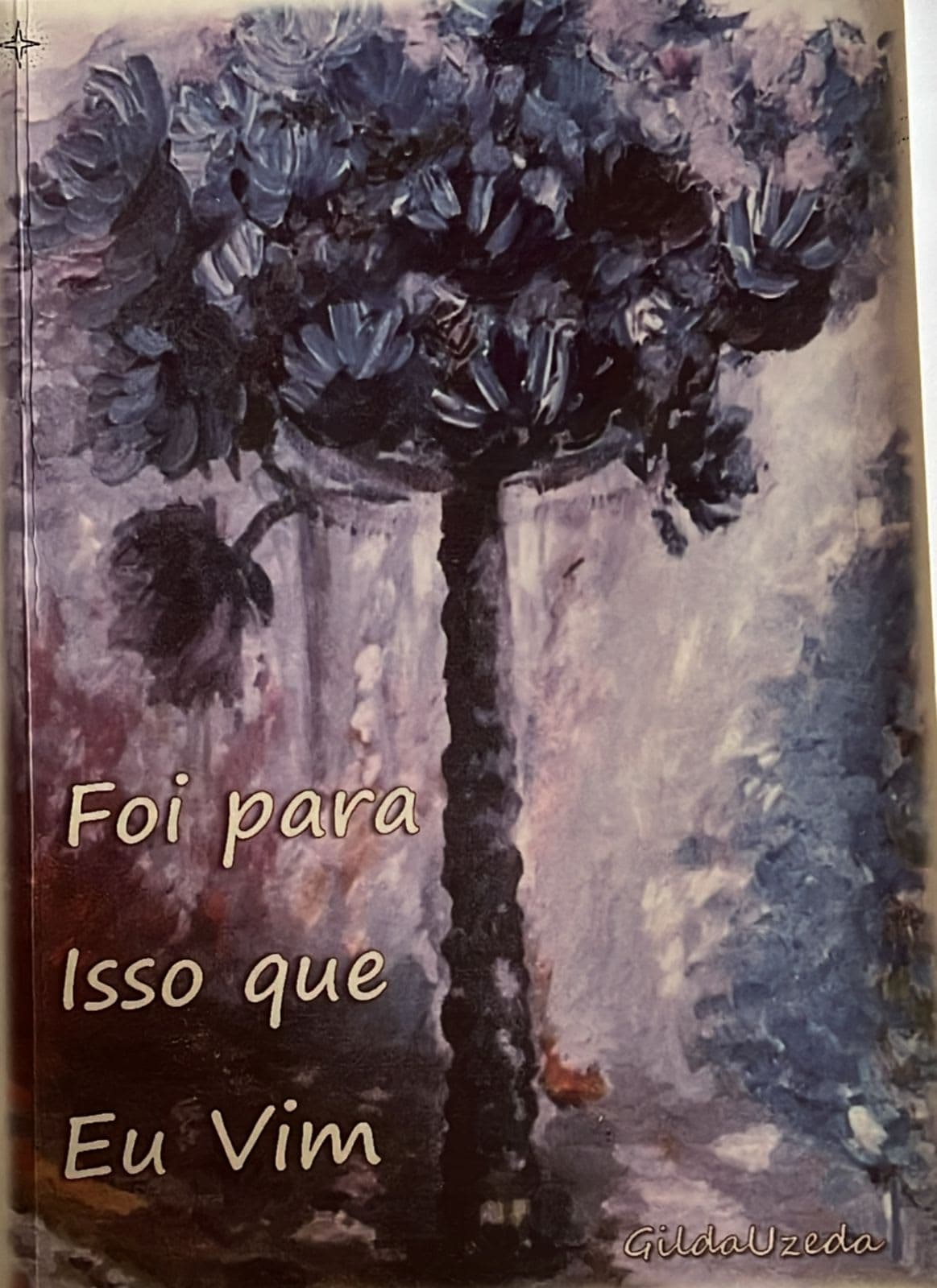 Livro - Foi para isso que Eu vim
